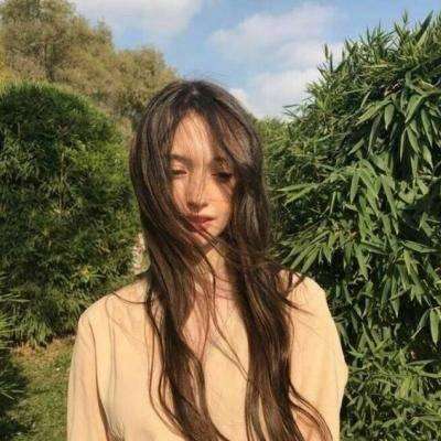 果盘功夫喵星人手游下载