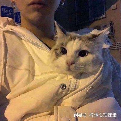 拯救世界分几步破解版下载