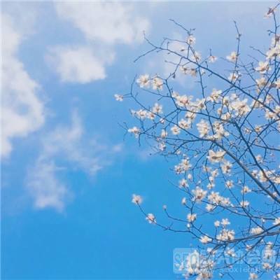 元素战纪4399手游下载
