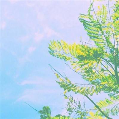 碧血染苍穹九玩版下载